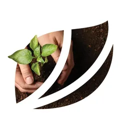Suzano logo