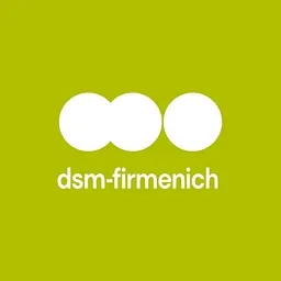 DSM Business Services B.V. logo