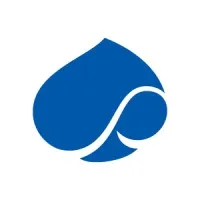 Capgemini FSSBU logo