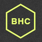 Bullhorn Consultants logo