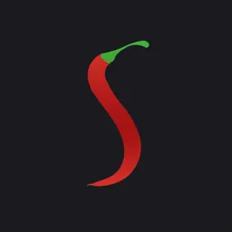 Salsita logo