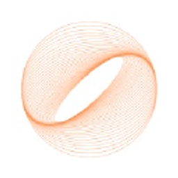 Satoshi Solutions logo