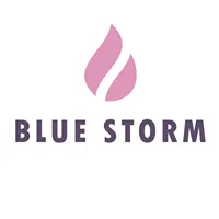Bluestorm Recruitment by Dazzle logo