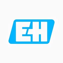 Endress+Hauser InfoServe GmbH+Co. KG logo