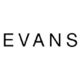 navabi logo